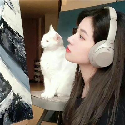 匿名杀手