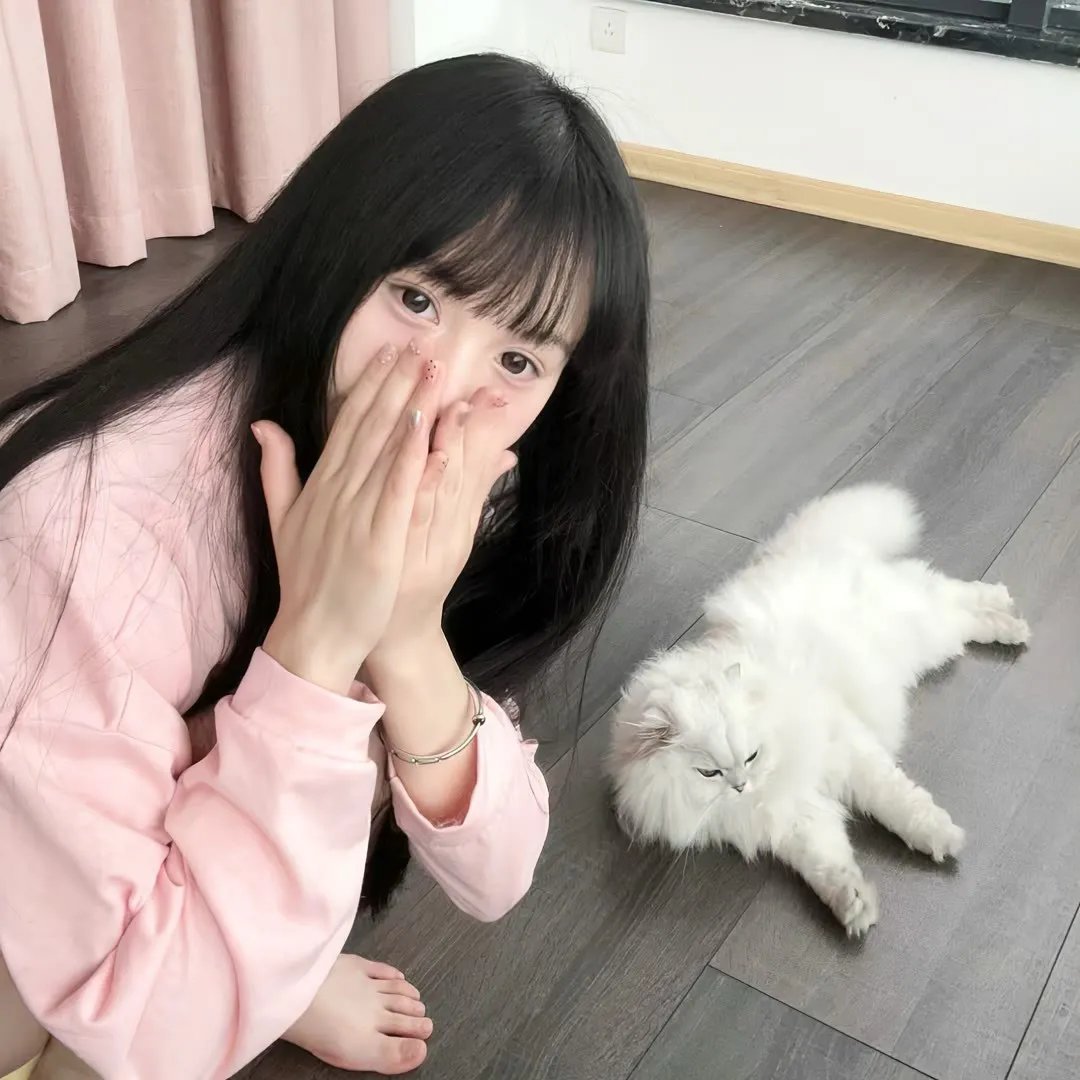 2024川渝春节联欢晚会